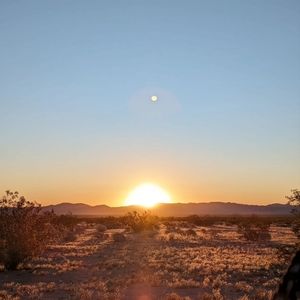 Meet your Posher, Agatha